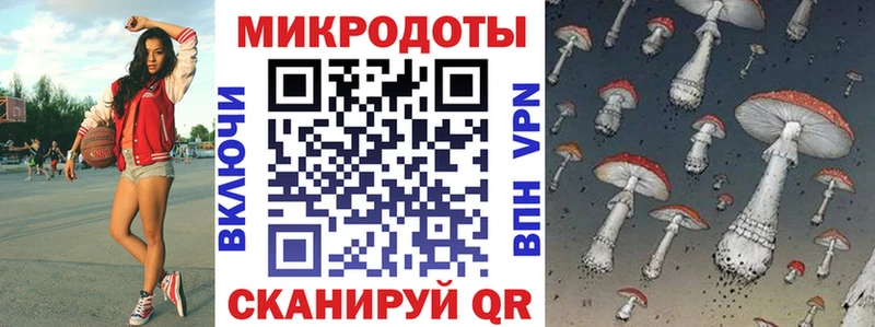 Галлюциногенные грибы Psilocybine cubensis  Дальнереченск 